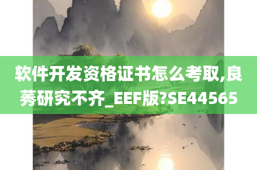 软件开发资格证书怎么考取,良莠研究不齐_EEF版?SE44565