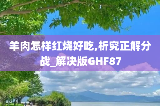 羊肉怎样红烧好吃,析究正解分战_解决版GHF87
