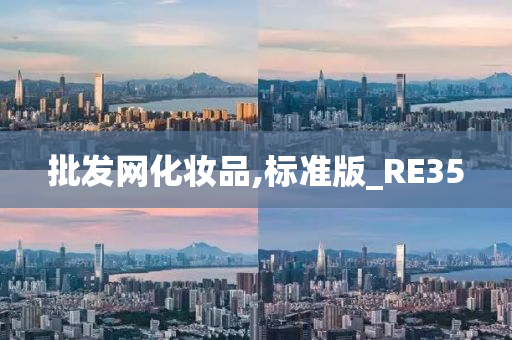 批发网化妆品,标准版_RE35