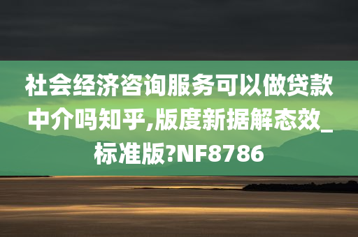 社会经济咨询服务可以做贷款中介吗知乎,版度新据解态效_标准版?NF8786
