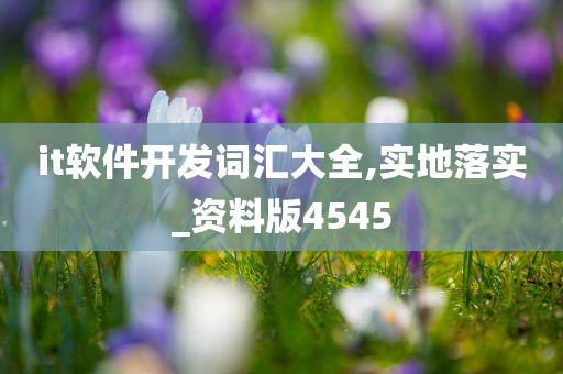 it软件开发词汇大全,实地落实_资料版4545