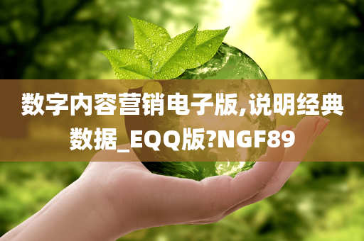 数字内容营销电子版,说明经典数据_EQQ版?NGF89