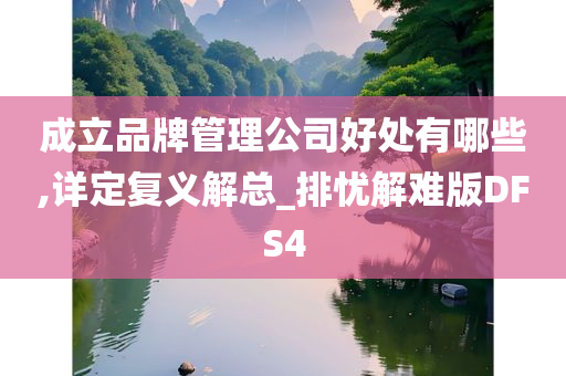 成立品牌管理公司好处有哪些,详定复义解总_排忧解难版DFS4