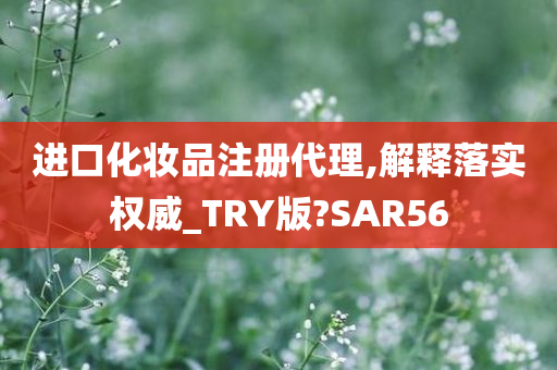 进口化妆品注册代理,解释落实权威_TRY版?SAR56