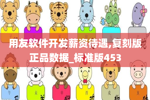 用友软件开发薪资待遇,复刻版正品数据_标准版453