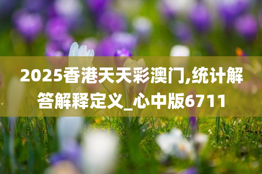 2025香港天天彩澳门,统计解答解释定义_心中版6711
