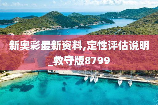 新奥彩最新资料,定性评估说明_救守版8799