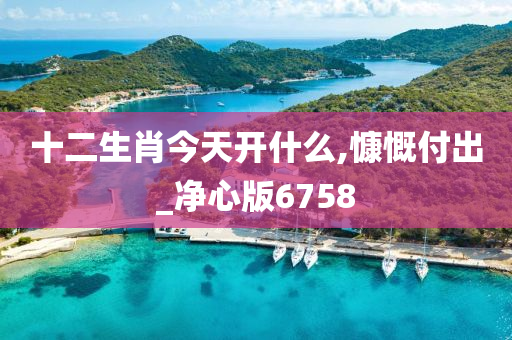 十二生肖今天开什么,慷慨付出_净心版6758