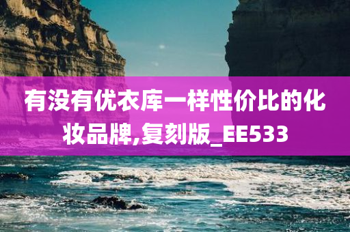 有没有优衣库一样性价比的化妆品牌,复刻版_EE533