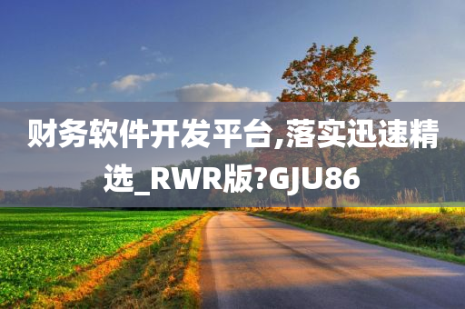 财务软件开发平台,落实迅速精选_RWR版?GJU86