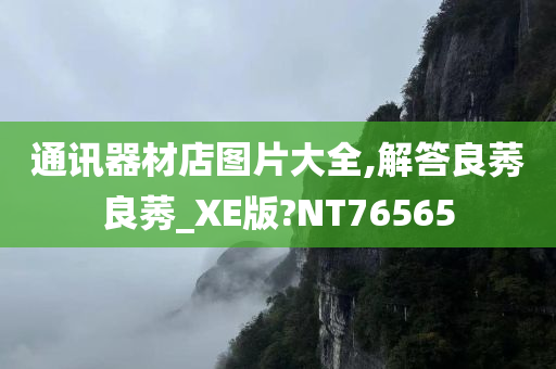 通讯器材店图片大全,解答良莠良莠_XE版?NT76565