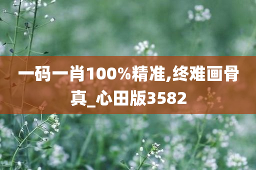 一码一肖100%精准,终难画骨真_心田版3582
