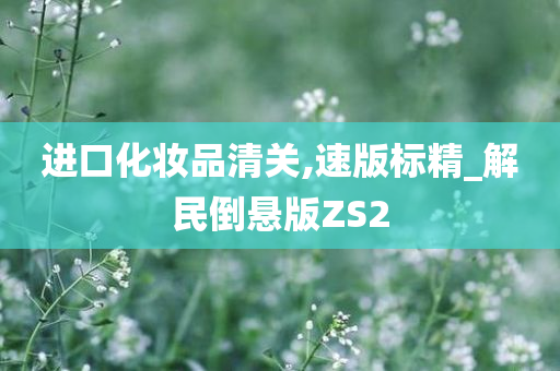 进口化妆品清关,速版标精_解民倒悬版ZS2