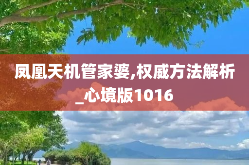 凤凰天机管家婆,权威方法解析_心境版1016
