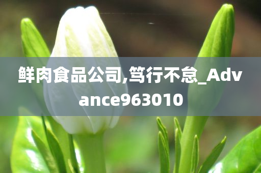 鲜肉食品公司,笃行不怠_Advance963010