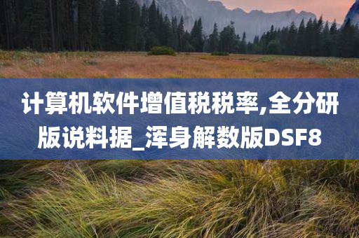 计算机软件增值税税率,全分研版说料据_浑身解数版DSF8