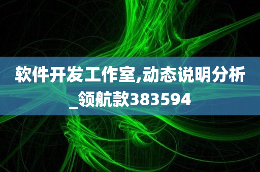 软件开发工作室,动态说明分析_领航款383594
