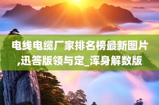电线电缆厂家排名榜最新图片,迅答版领与定_浑身解数版