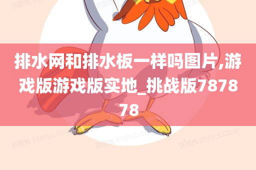 排水网和排水板一样吗图片,游戏版游戏版实地_挑战版787878