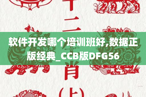 软件开发哪个培训班好,数据正版经典_CCB版DFG56