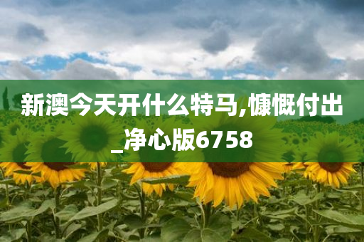 新澳今天开什么特马,慷慨付出_净心版6758