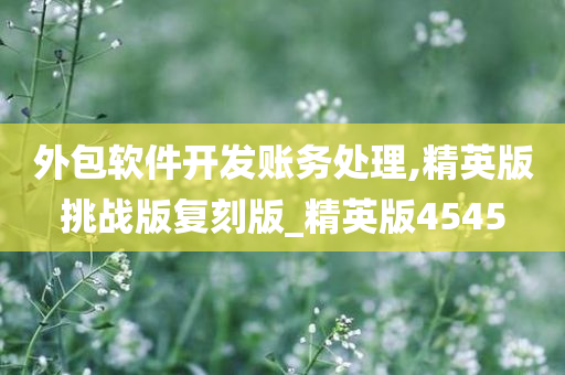 外包软件开发账务处理,精英版挑战版复刻版_精英版4545