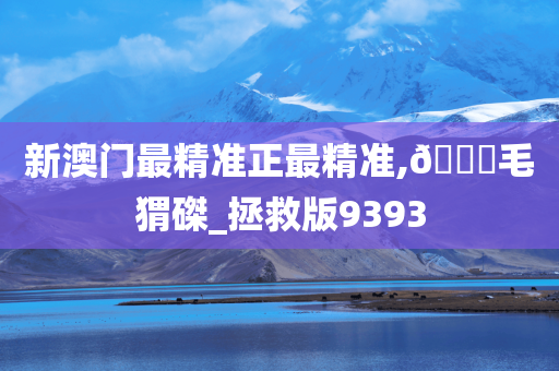 新澳门最精准正最精准,??毛猬磔_拯救版9393