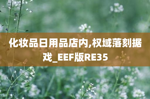 化妆品日用品店内,权域落刻据戏_EEF版RE35