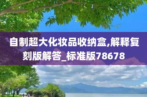 自制超大化妆品收纳盒,解释复刻版解答_标准版78678