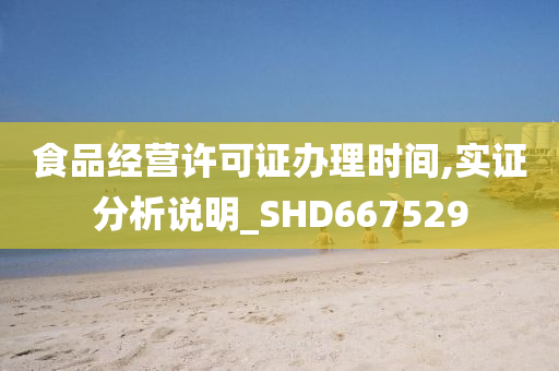 食品经营许可证办理时间,实证分析说明_SHD667529
