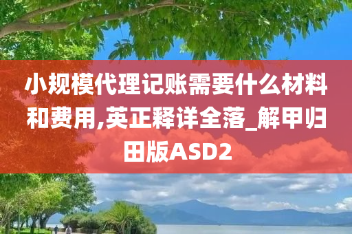 小规模代理记账需要什么材料和费用,英正释详全落_解甲归田版ASD2