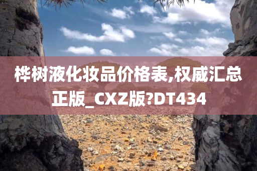 桦树液化妆品价格表,权威汇总正版_CXZ版?DT434