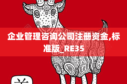 企业管理咨询公司注册资金,标准版_RE35