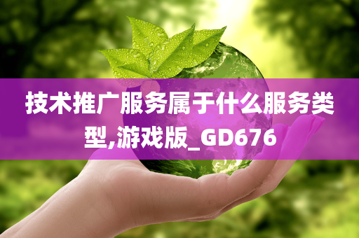 技术推广服务属于什么服务类型,游戏版_GD676