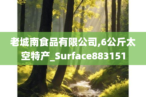 老城南食品有限公司,6公斤太空特产_Surface883151