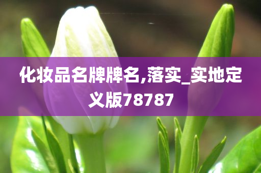 定义