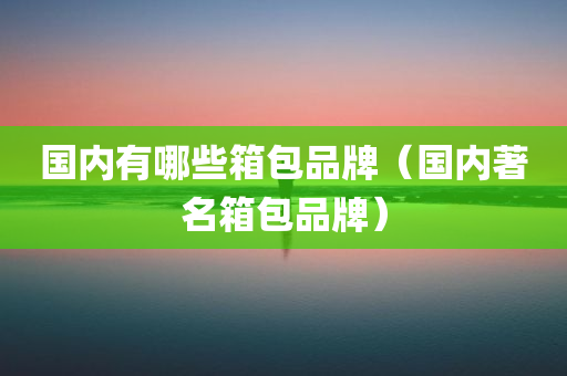 国内有哪些箱包品牌（国内著名箱包品牌）