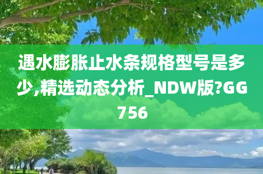 遇水膨胀止水条规格型号是多少,精选动态分析_NDW版?GG756