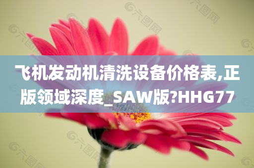 飞机发动机清洗设备价格表,正版领域深度_SAW版?HHG77