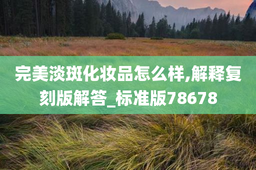 完美淡斑化妆品怎么样,解释复刻版解答_标准版78678