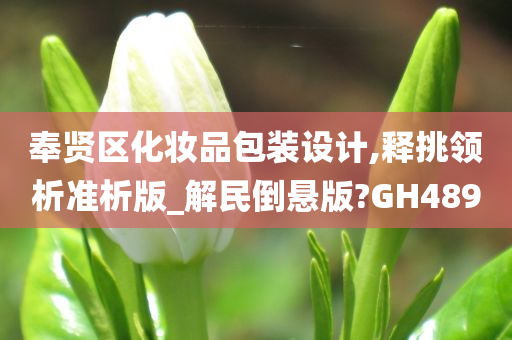 奉贤区化妆品包装设计,释挑领析准析版_解民倒悬版?GH489