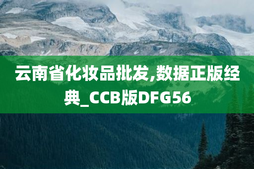 云南省化妆品批发,数据正版经典_CCB版DFG56