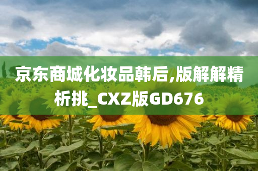 京东商城化妆品韩后,版解解精析挑_CXZ版GD676
