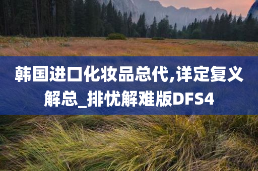 韩国进口化妆品总代,详定复义解总_排忧解难版DFS4