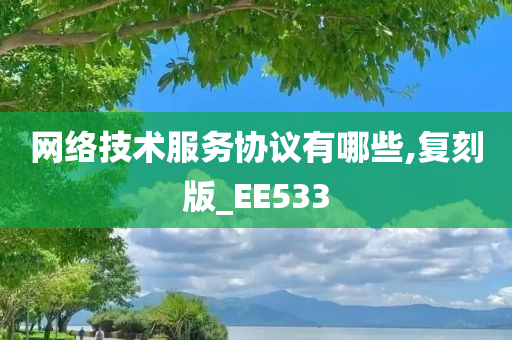 网络技术服务协议有哪些,复刻版_EE533