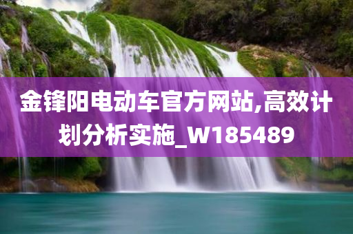 金锋阳电动车官方网站,高效计划分析实施_W185489