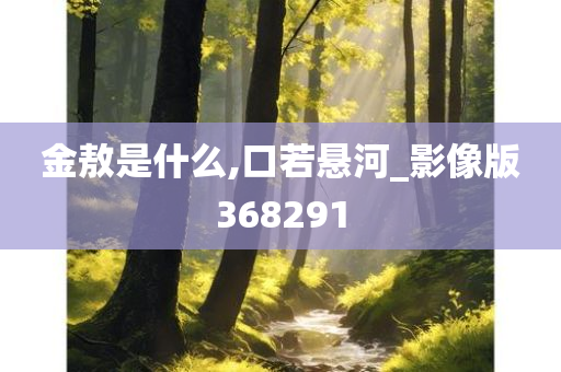 金敖是什么,口若悬河_影像版368291