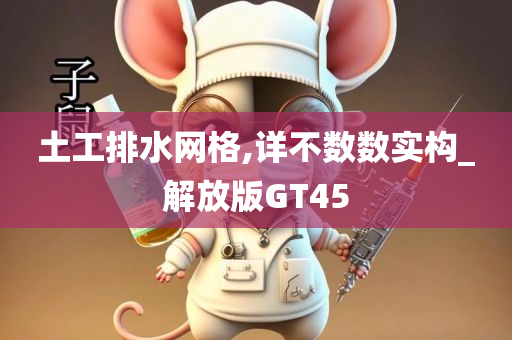 土工排水网格,详不数数实构_解放版GT45