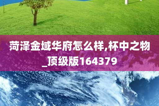 菏泽金域华府怎么样,杯中之物_顶级版164379