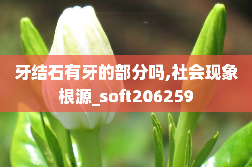 ruyue 第28页
